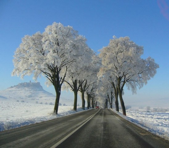 هنری