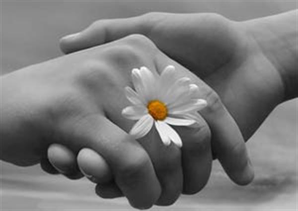 پوست دست، فدای شستن ظرف!