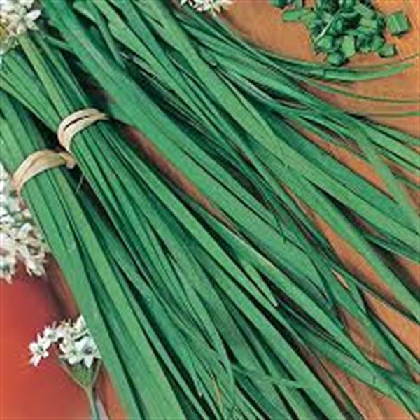 یک سبزی مفید برای خانم‌ها