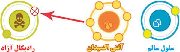 پنج  آنتی اکسیدان کمتر شناخته شده