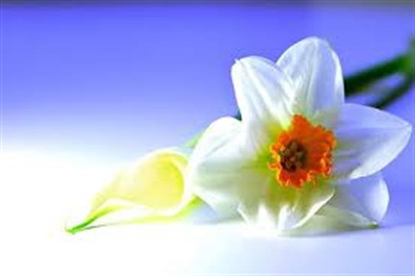 تمریناتی برای یک زندگی آرام