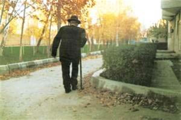 سالمندان هدف پنهان گردشگری