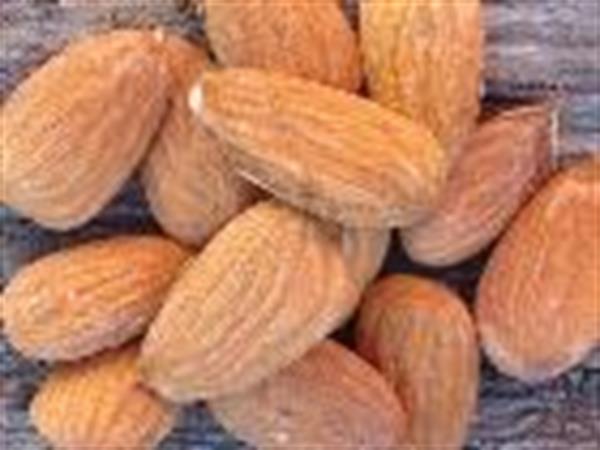 با ۳۰ عدد "بادام" لاغر شوید