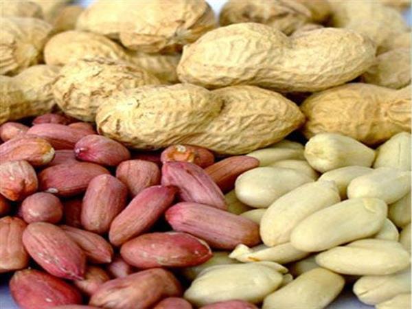 این آجیل را بهتر بشناسید!!!