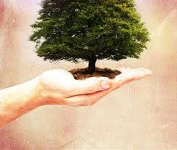 الهام از طبیعت - عکس