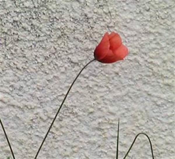 عشق؛ قدرتی ما‌فوق تصور