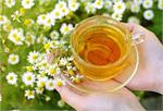 مصرف چای بابونه  برای افراد دیابتی بسیار مفید است