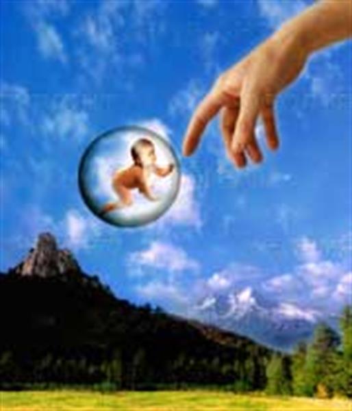 بهار فصل خوبی برای بچه‌دار شدن نیست