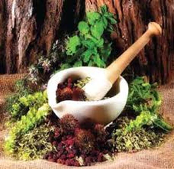 از برگها کمک‌ بگیرید