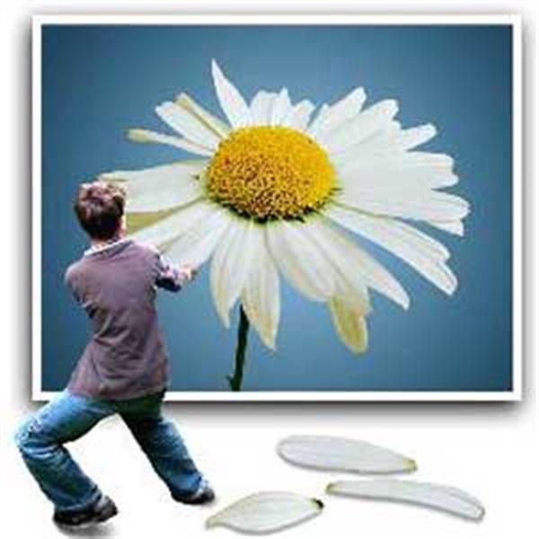 ویروس های زندگی مشترک